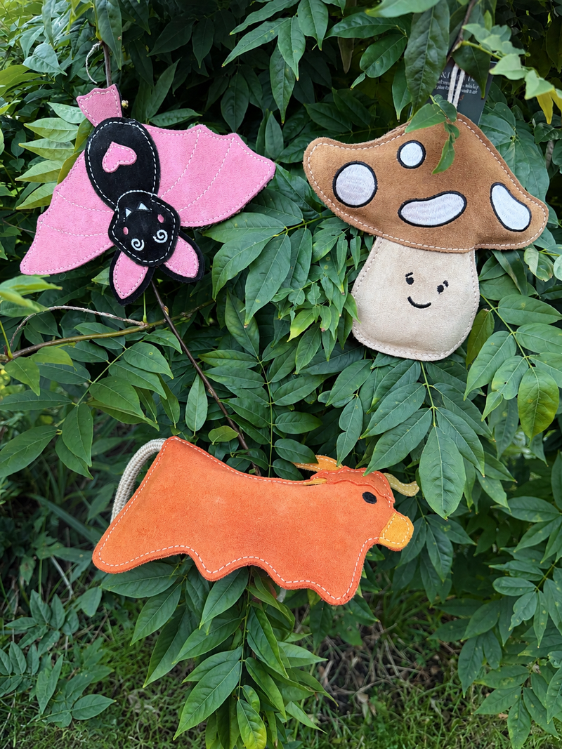 Dog Toys
