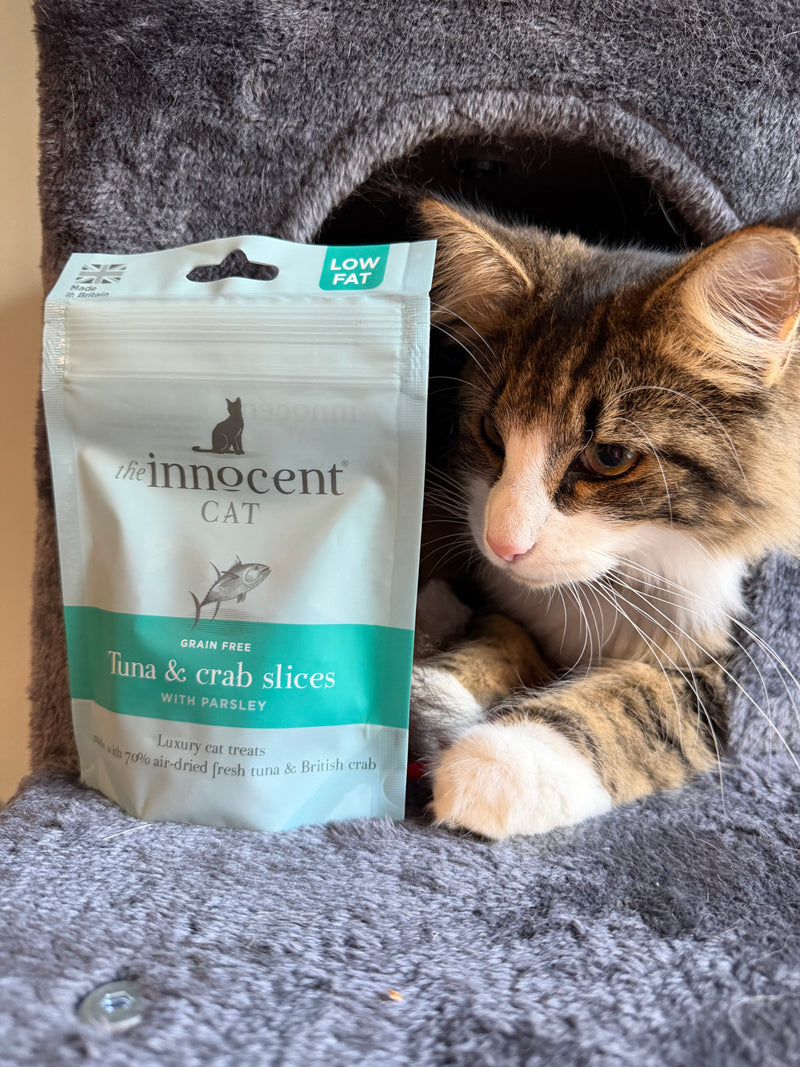Cat Treats