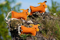 Hamish the Highland Cow shaped Eco Dog Toy