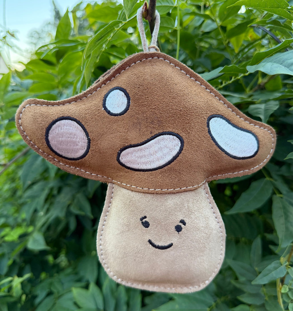 Chestnut the Mushroom