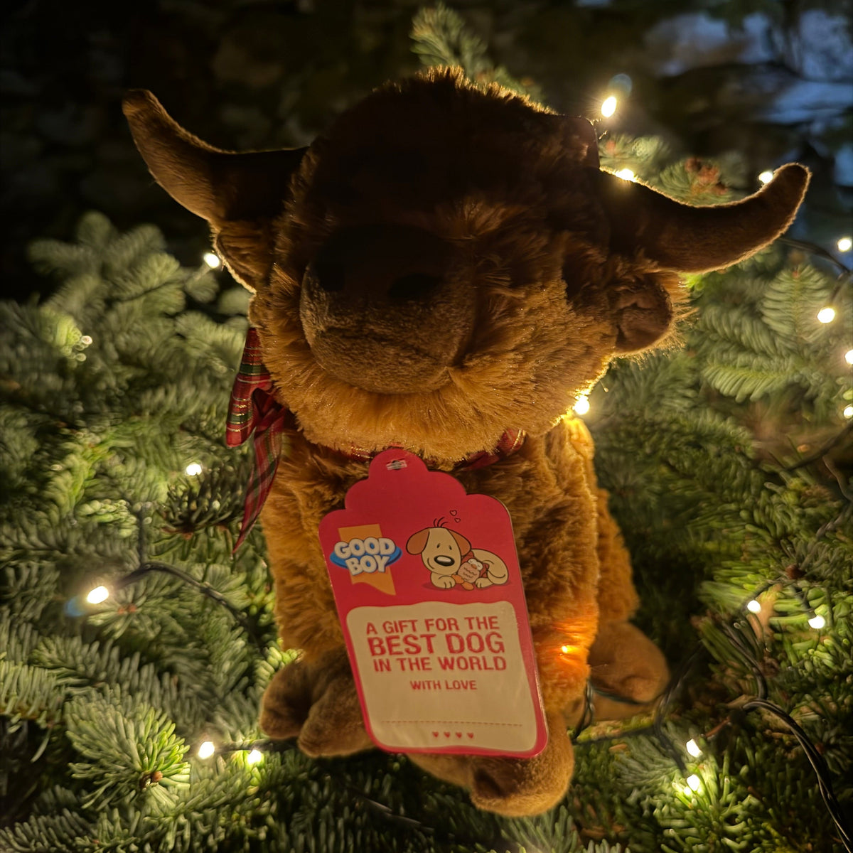 Christmas Highland Cow Large