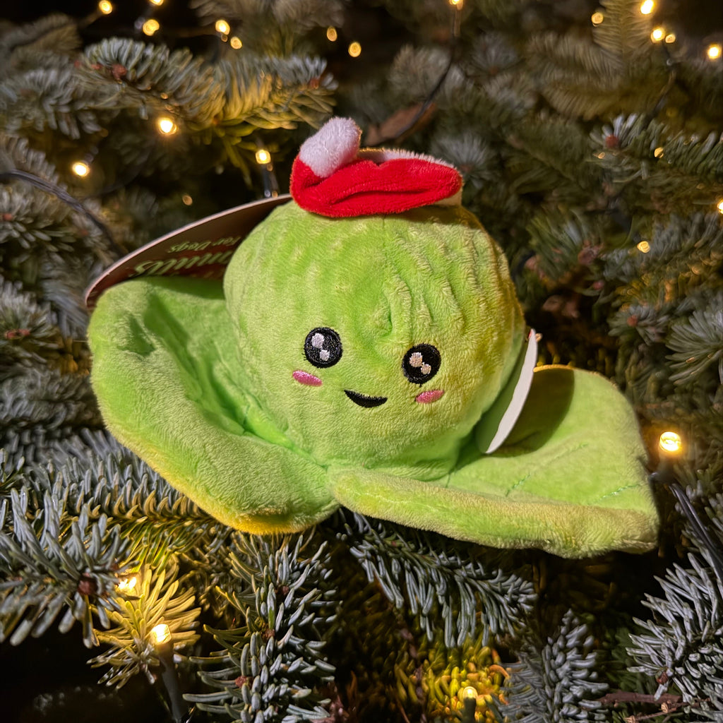 Ancol Bouncing Brussel Sprout