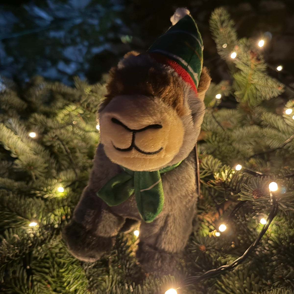 Dominic The Christmas Donkey