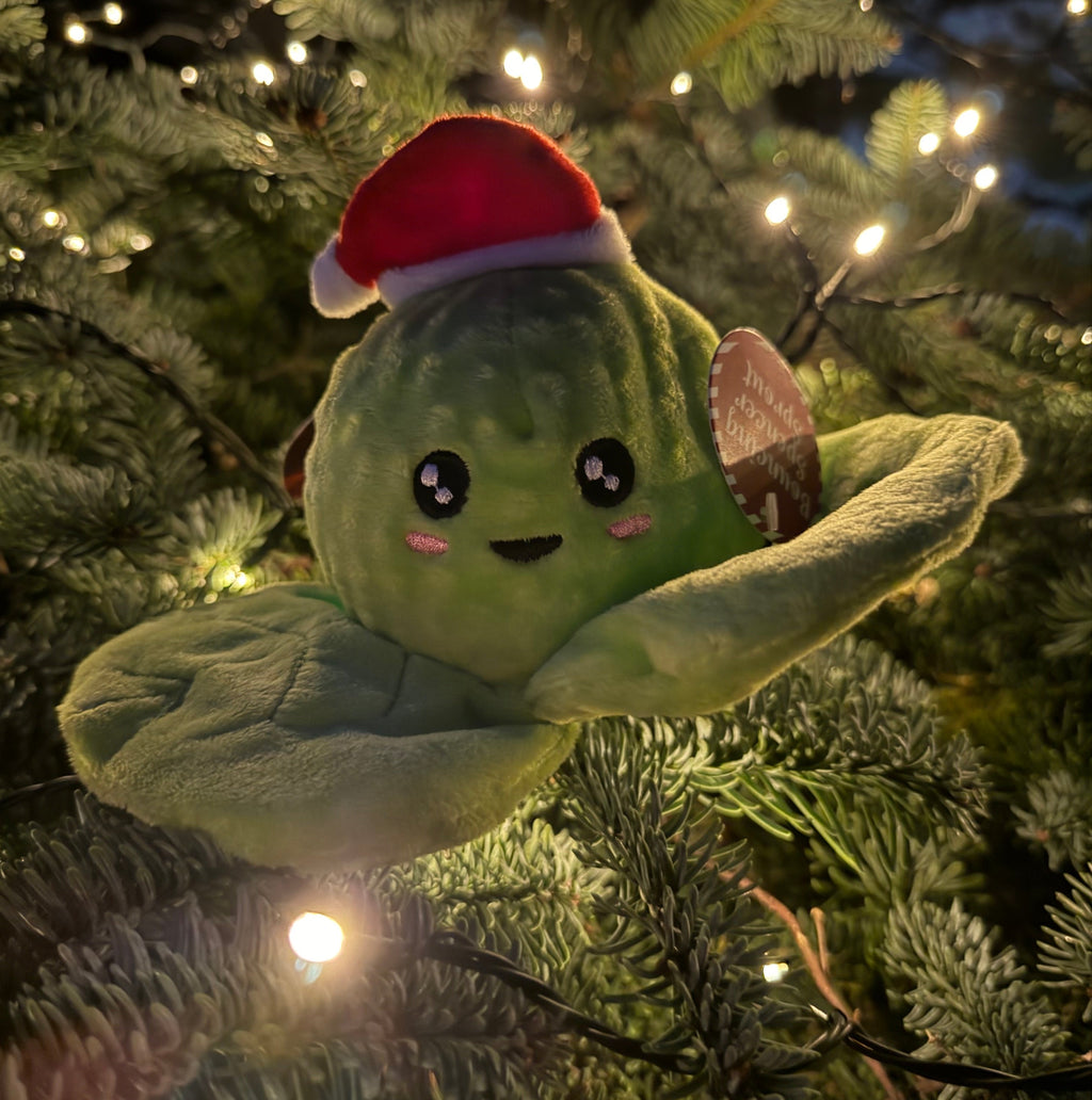 Ancol Bouncing Brussel Sprout