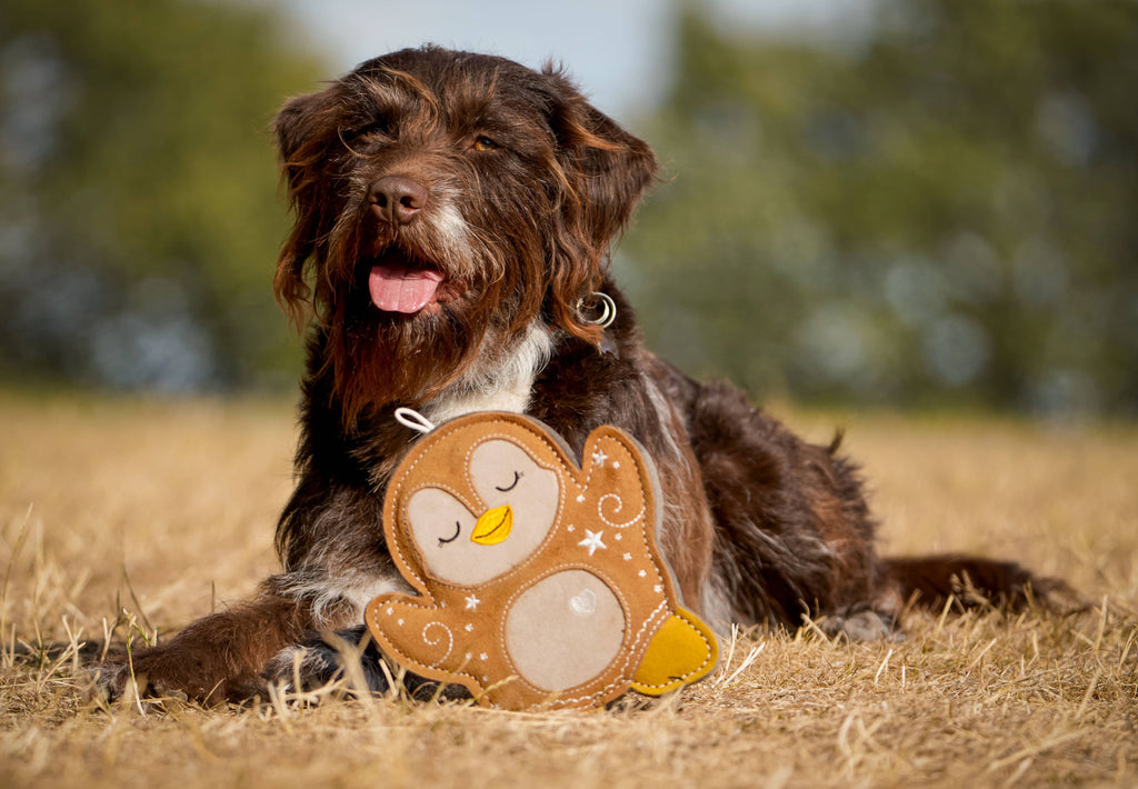 Christmas Poppy the Gingerbread Penguin Tough Dog Toy