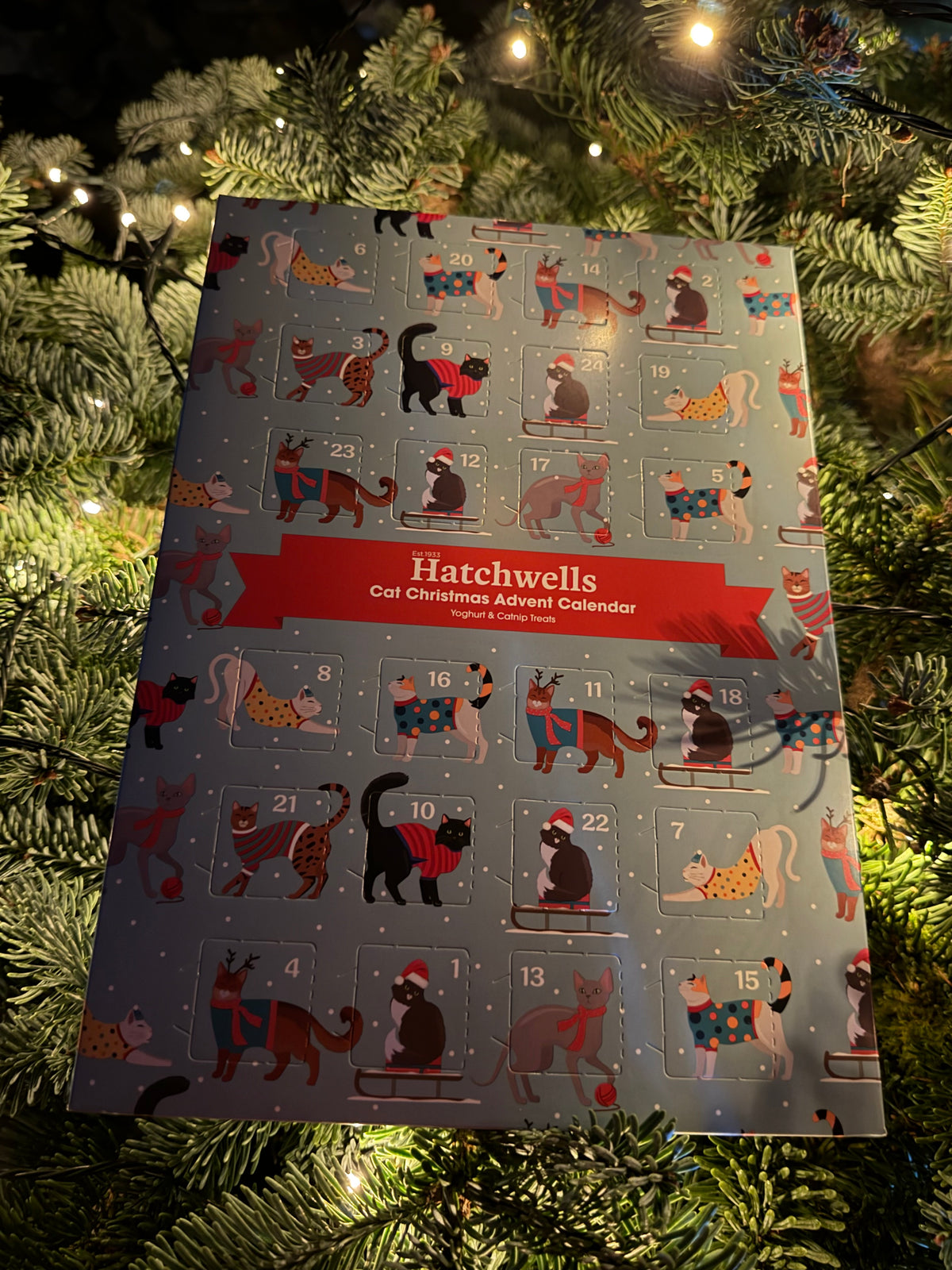 Hatchwells Cat Advent Calendar