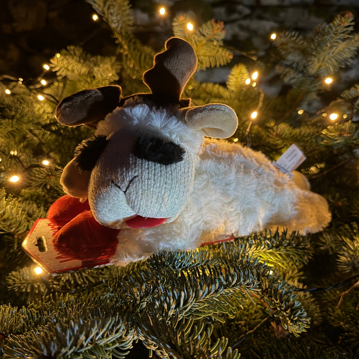 Happy Pet Lamb Chop Reindeer (small)
