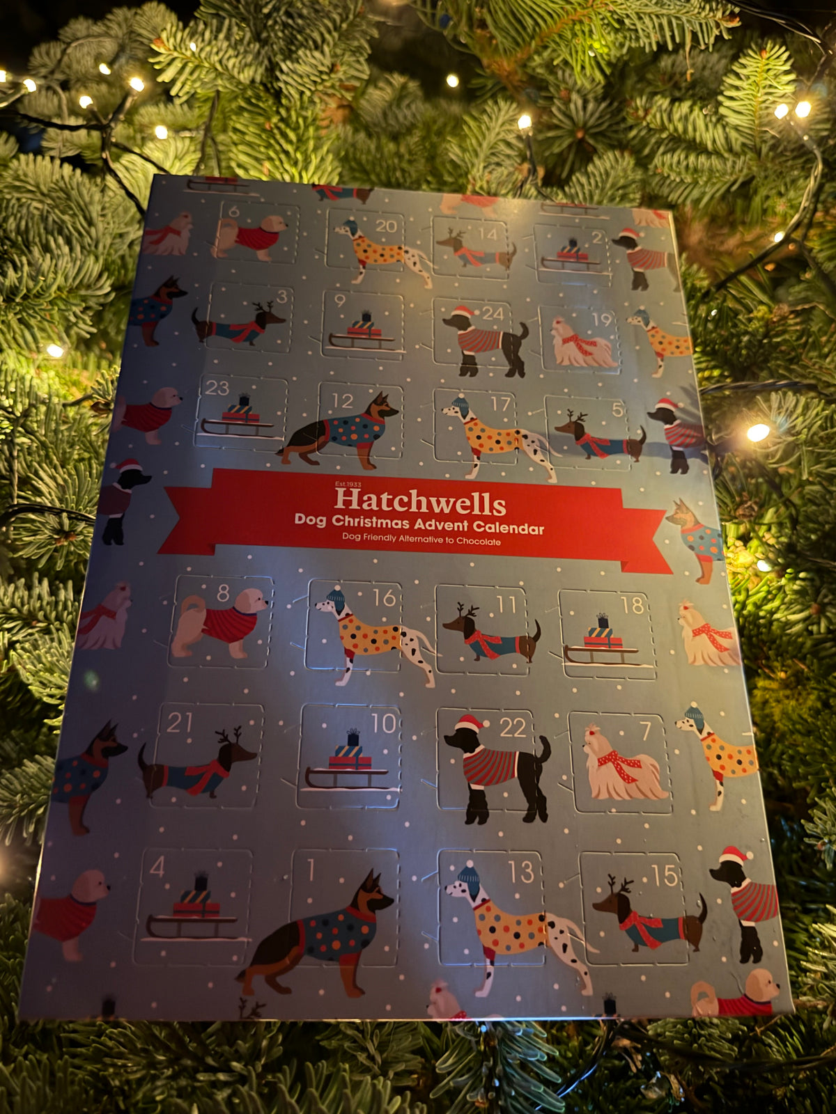 Hatchwell Dog Advent Calendar