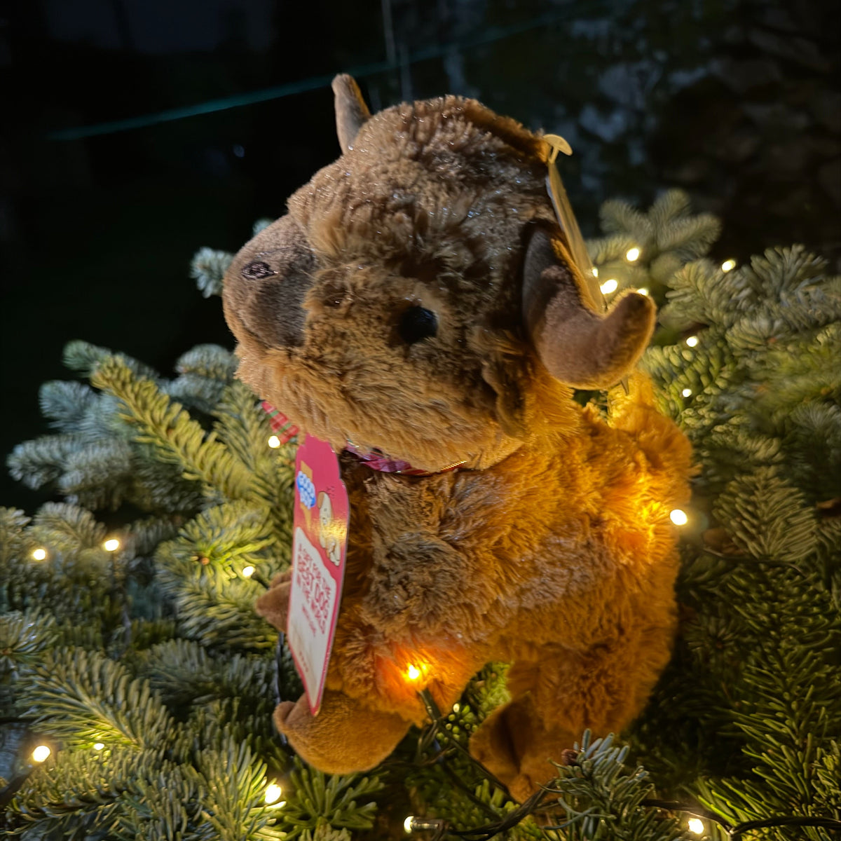 Christmas Highland Cow Large