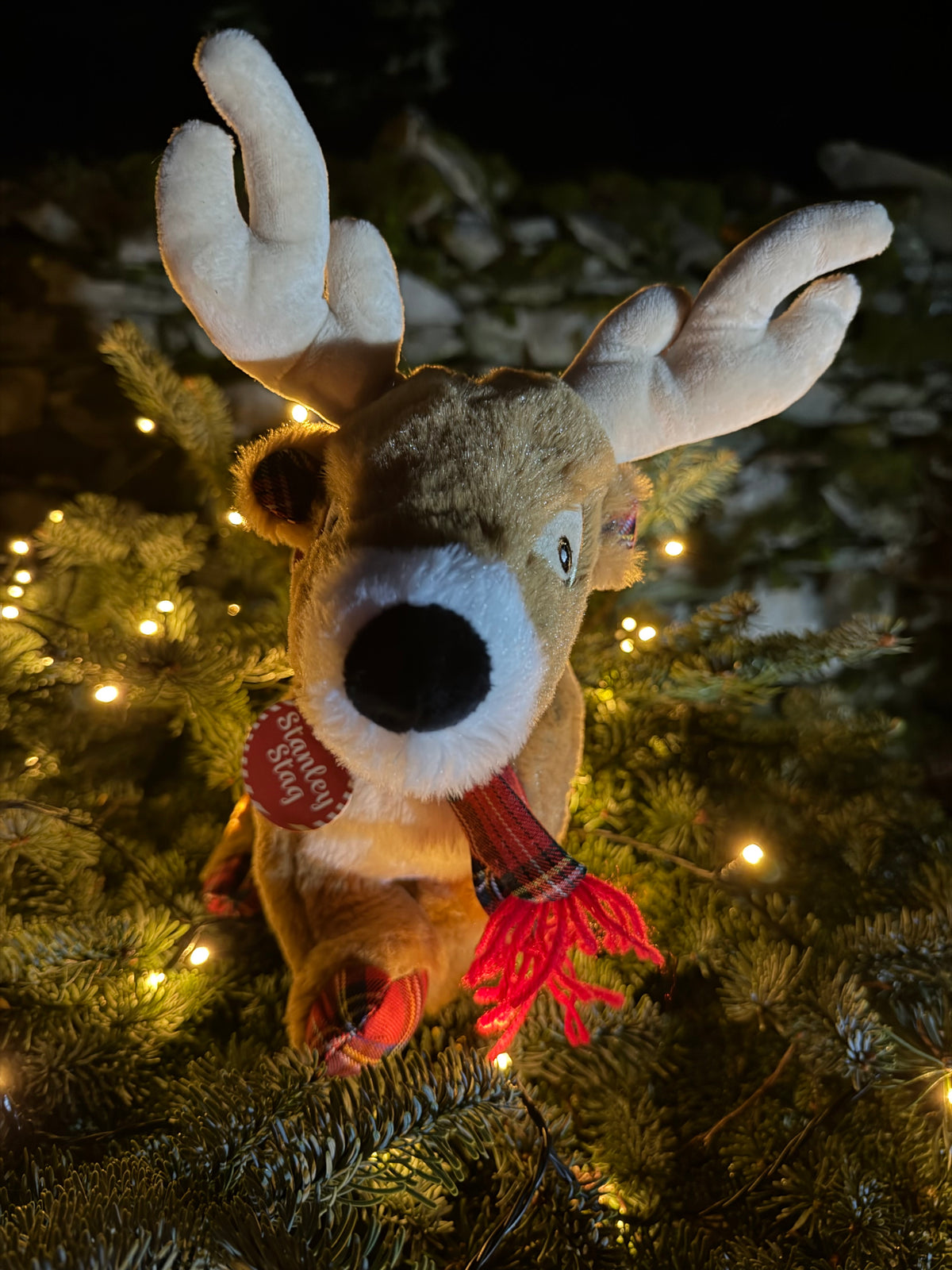 Christmas Stanley Stag