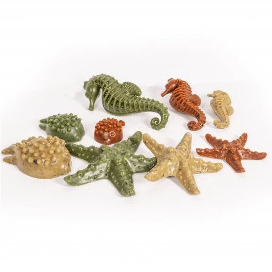 Elkwood Chicken & Vegetable Sea Creature Medium