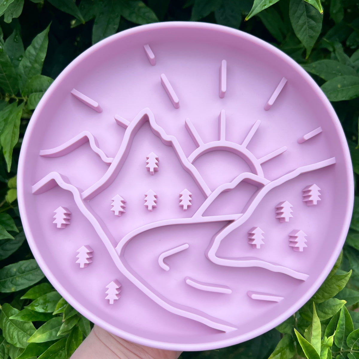 Lickbowl Mountain Pink