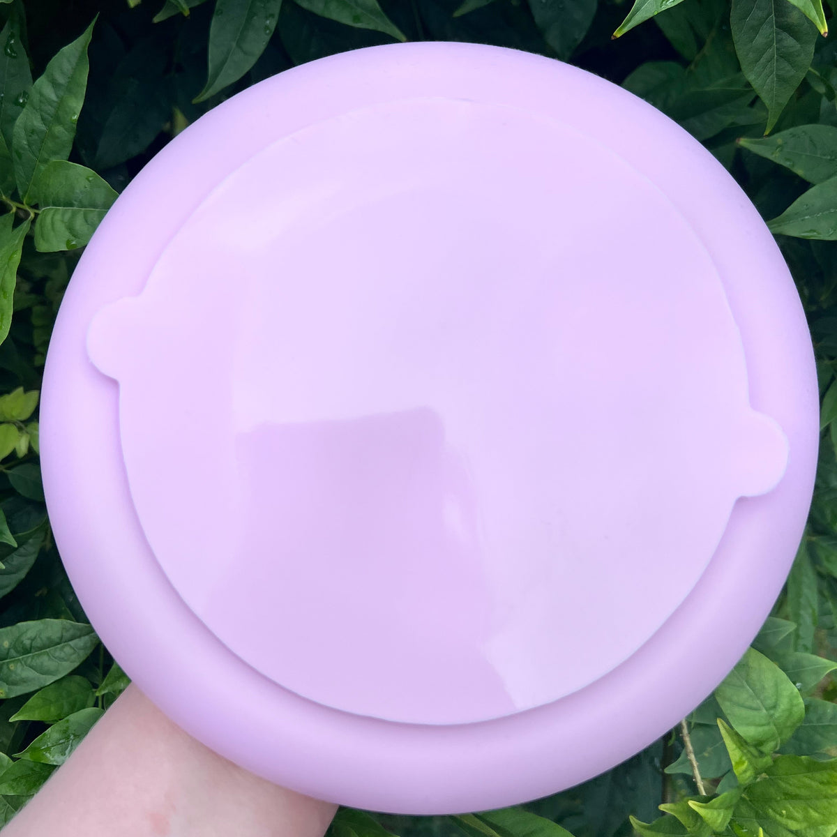 Lickbowl Mountain Pink