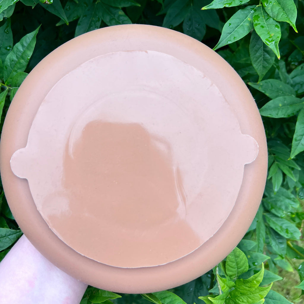 Lickbowl Mushroom Brown - Lakes and Tails
