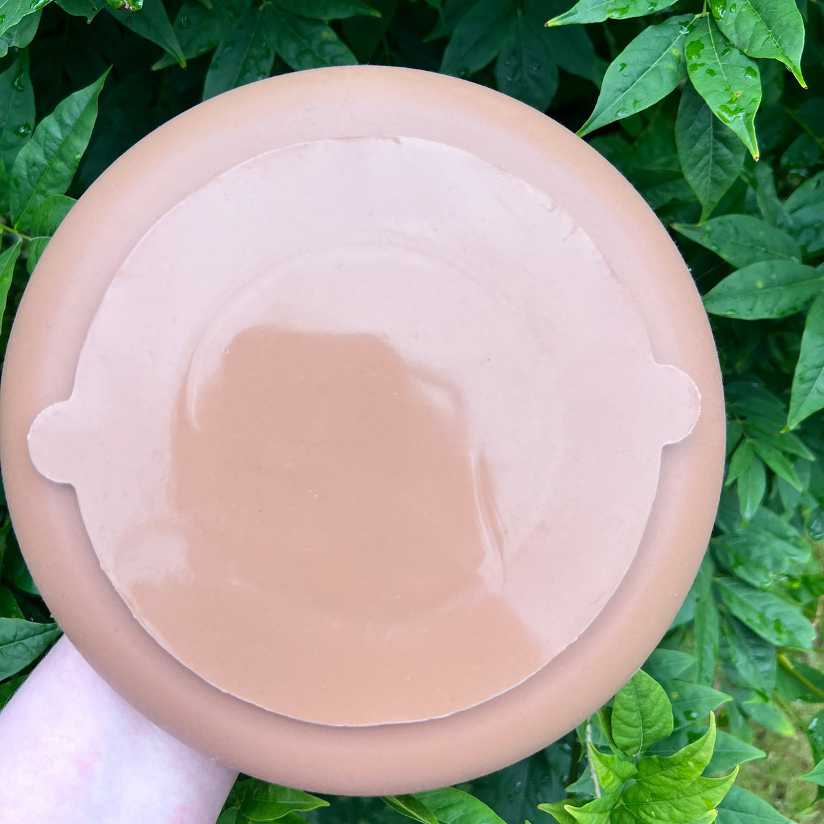 Lickbowl Mushroom Brown - Lakes and Tails