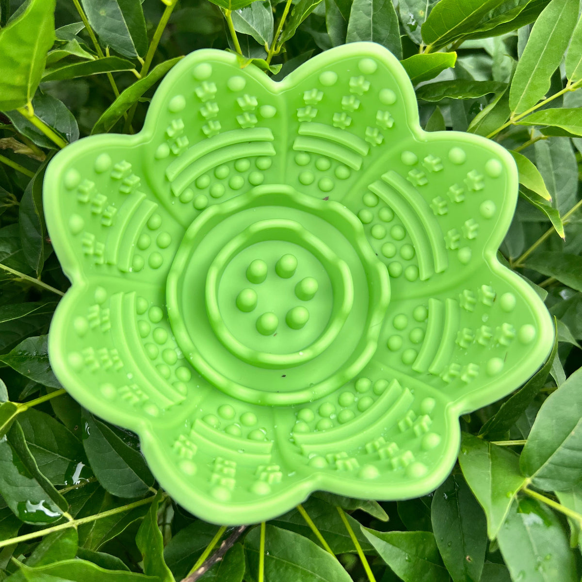 Lickpot Lotus Flower Mint Meadow - Lakes and Tails