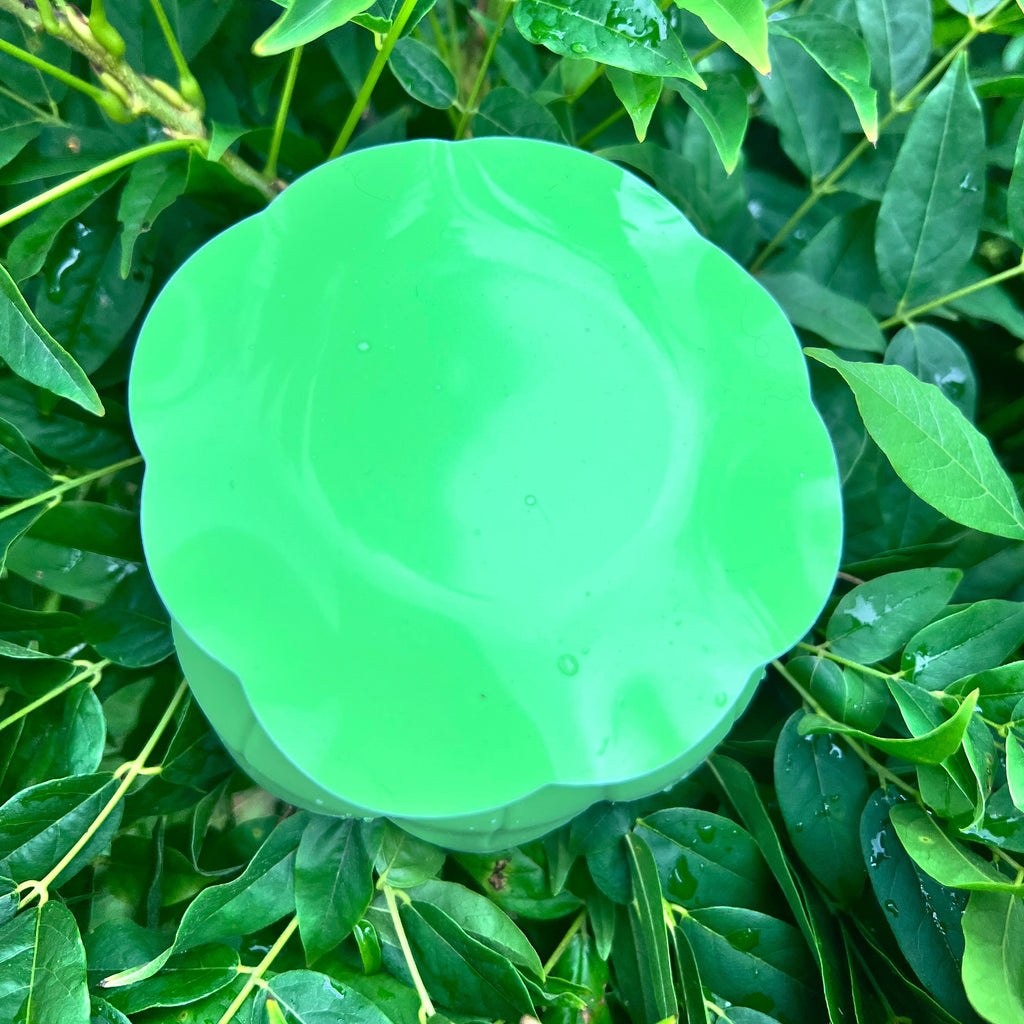 Lickpot Lotus Flower Mint Meadow - Lakes and Tails