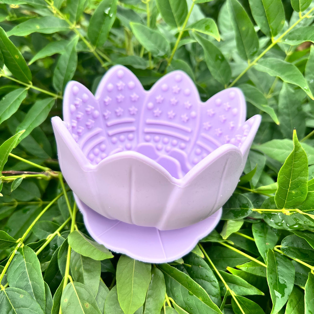 Lickpot Lotus Flower Lavender Mist - Lakes and Tails