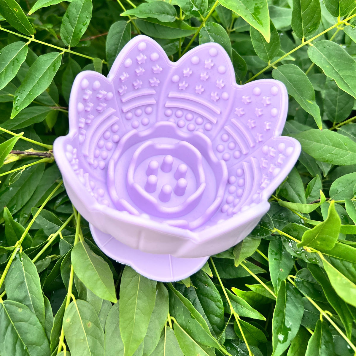 Lickpot Lotus Flower Lavender Mist - Lakes and Tails