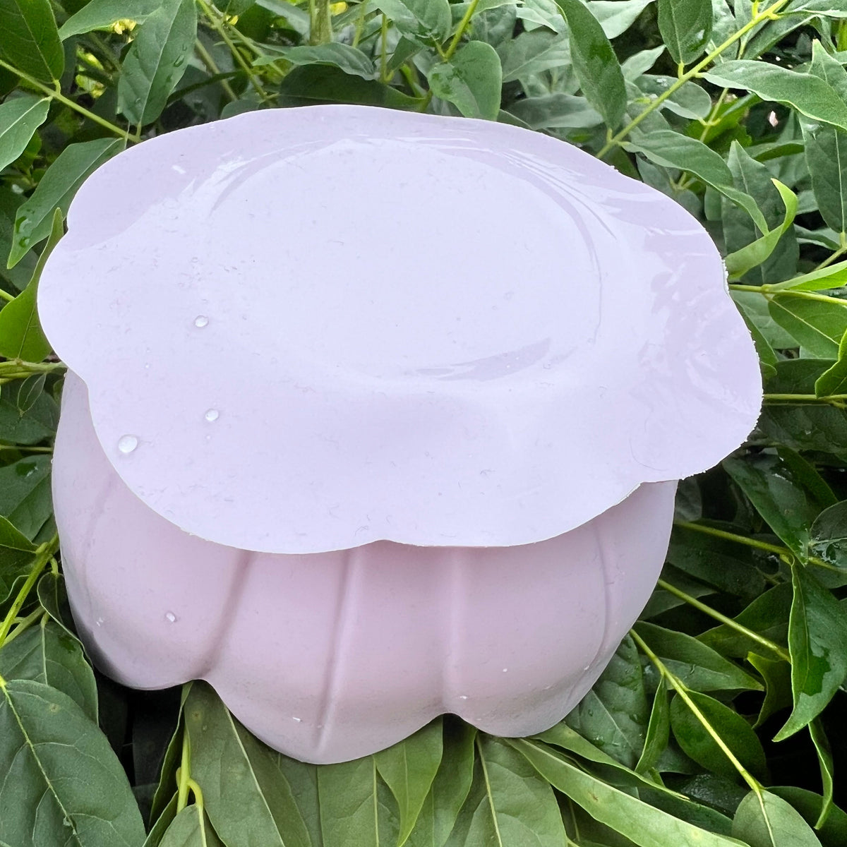 Lickpot Lotus Flower Lavender Mist - Lakes and Tails