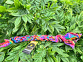 Fleece Tug Rainbow ZigZag (Medium)
