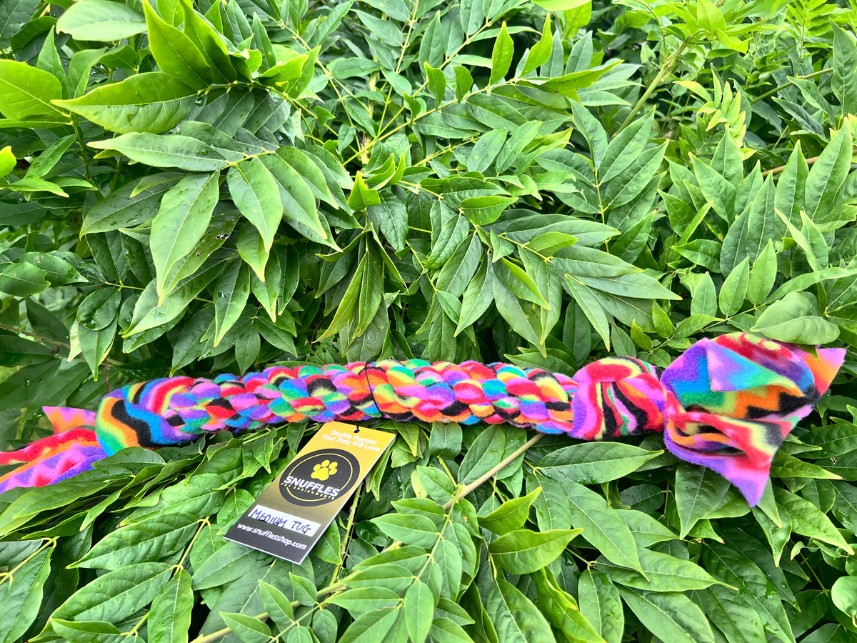 Fleece Tug Rainbow ZigZag (Medium)