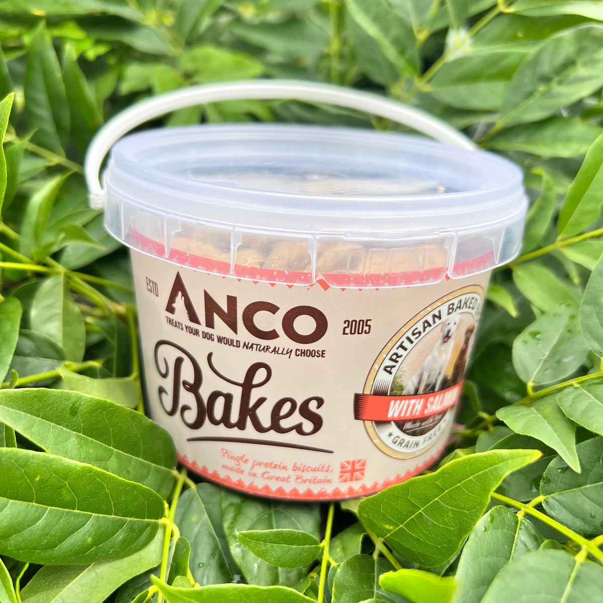 Anco Salmon Bakes 250g