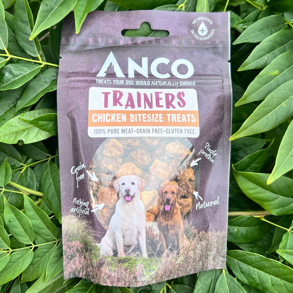 Anco Trainers Chicken 65g