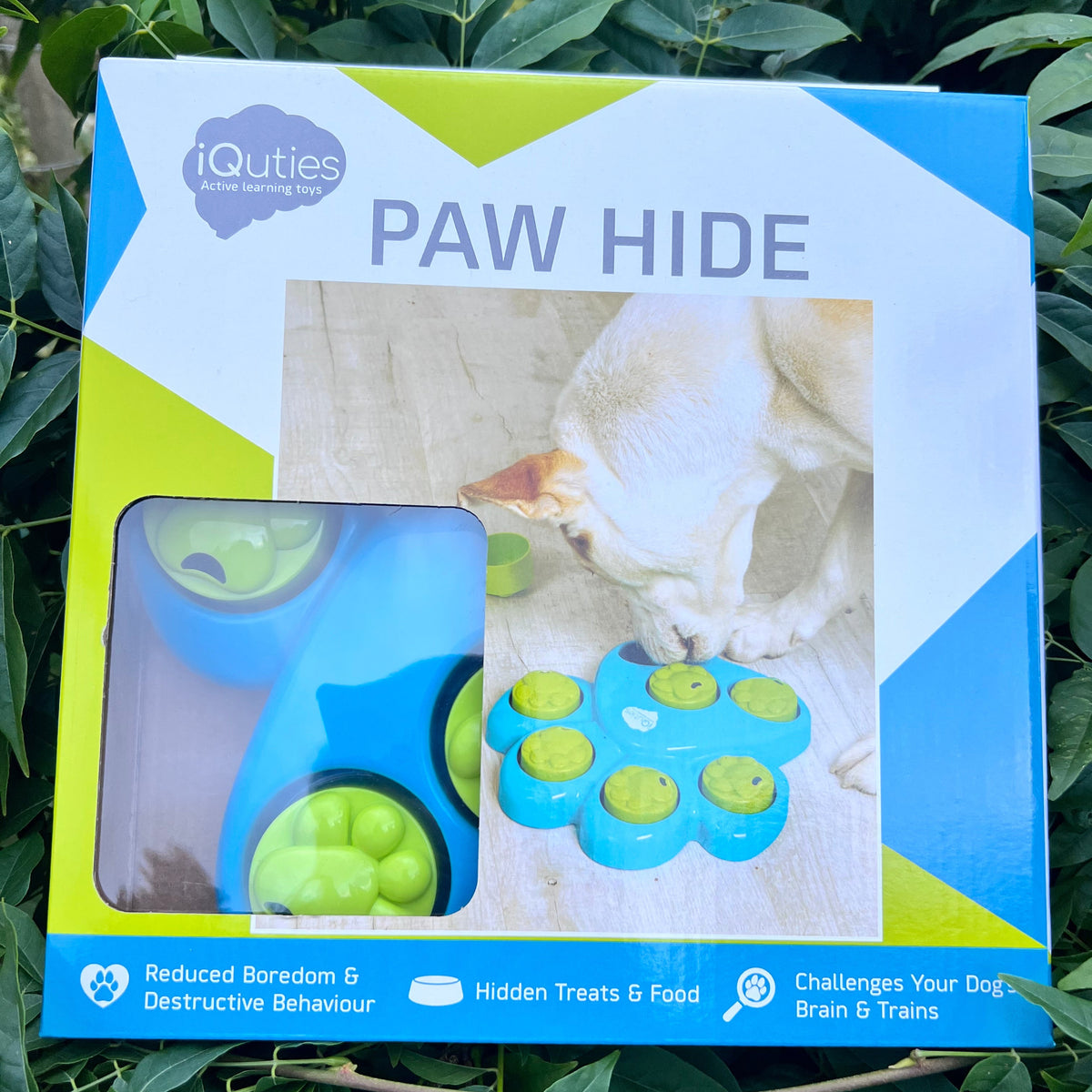 Iquties Activity Paw Hide