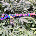 Fleece Tug Rainbow ZigZag (Small)