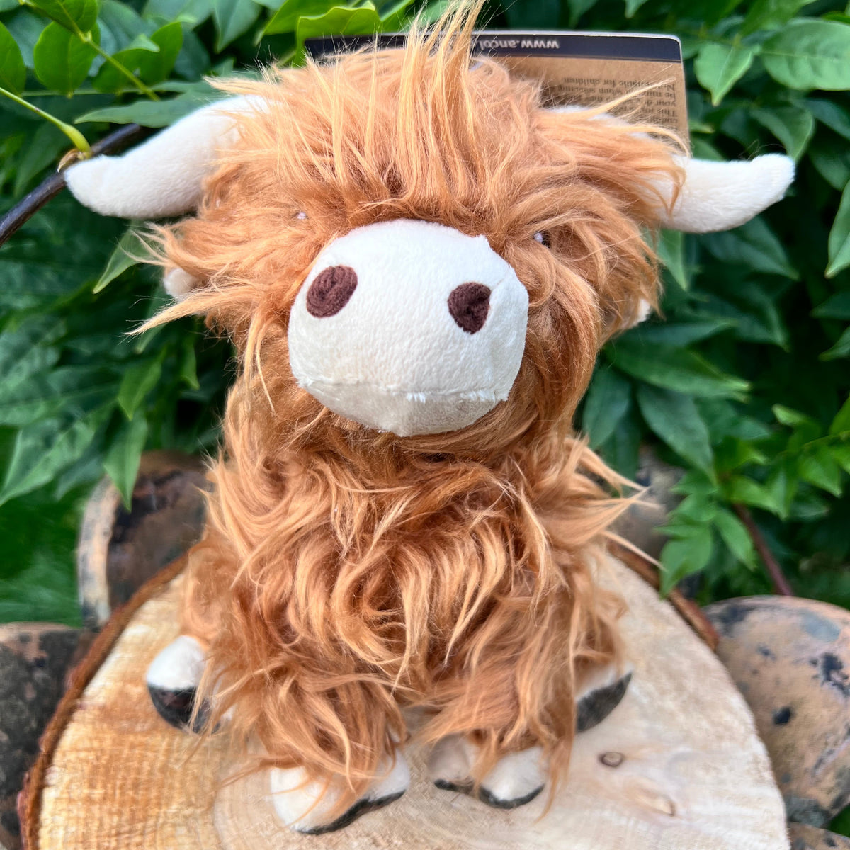 Heritage Fergus Highland Cow - Lakes and Tails