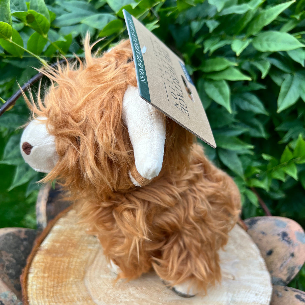 Heritage Fergus Highland Cow - Lakes and Tails