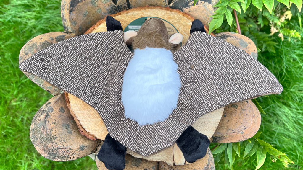 Heritage Dog Toy Barnaby Bat Midi - Lakes and Tails