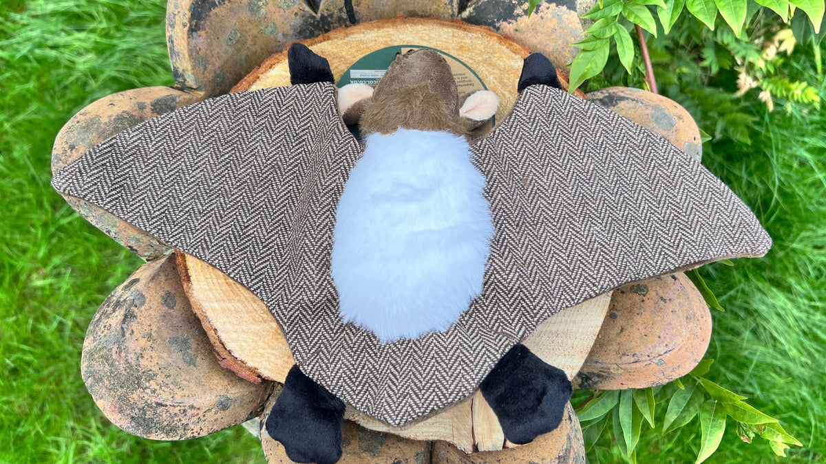 Heritage Dog Toy Barnaby Bat Midi - Lakes and Tails