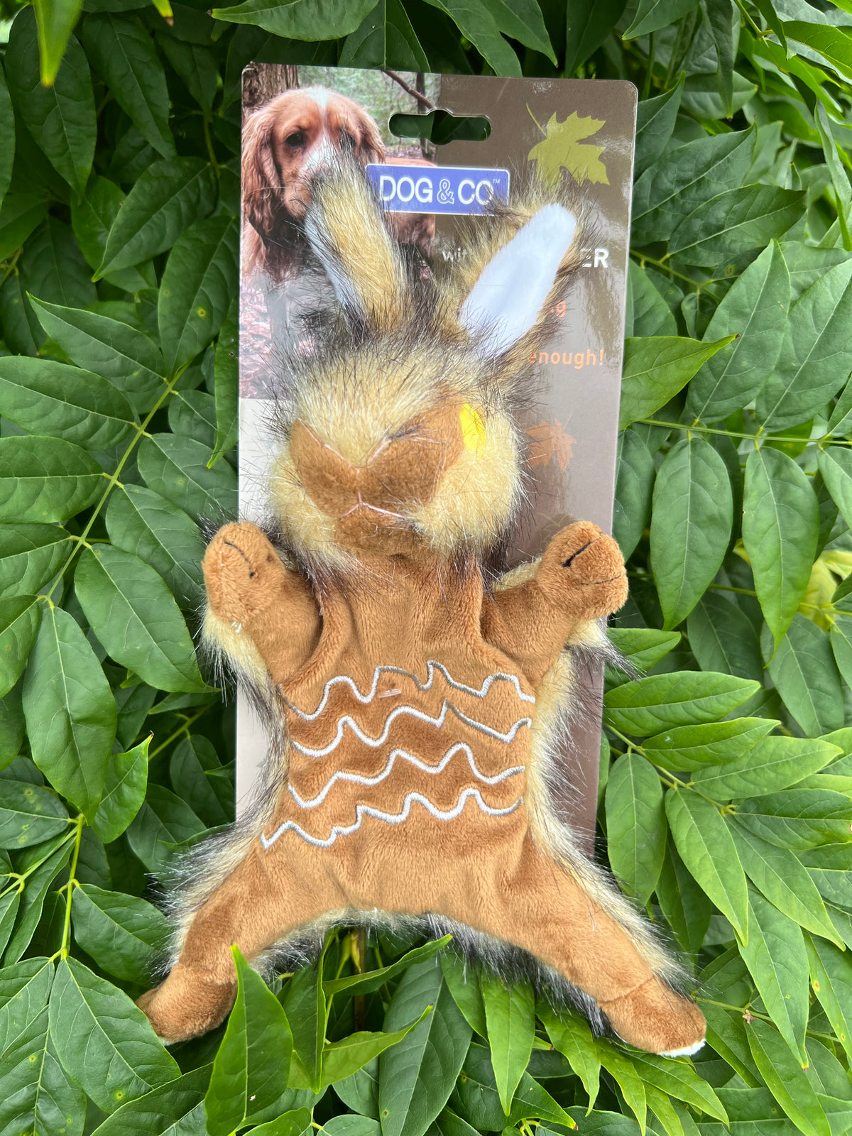 Hare Country Dog Toy