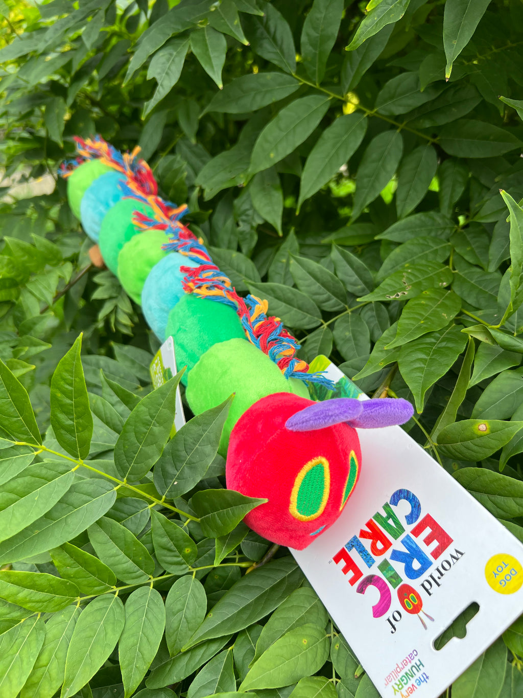 Hungry Caterpillar Plush Dog Toy