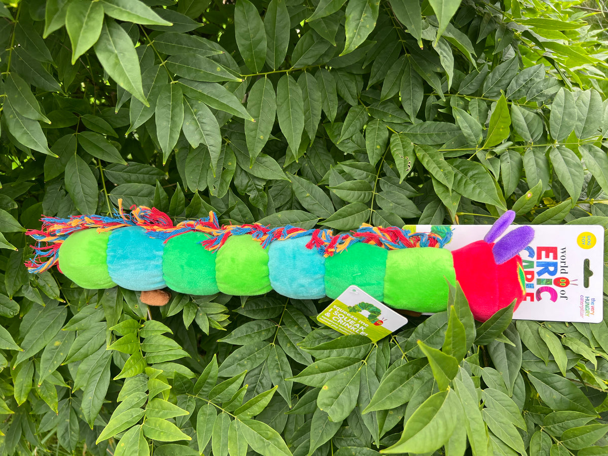Hungry Caterpillar Plush Dog Toy