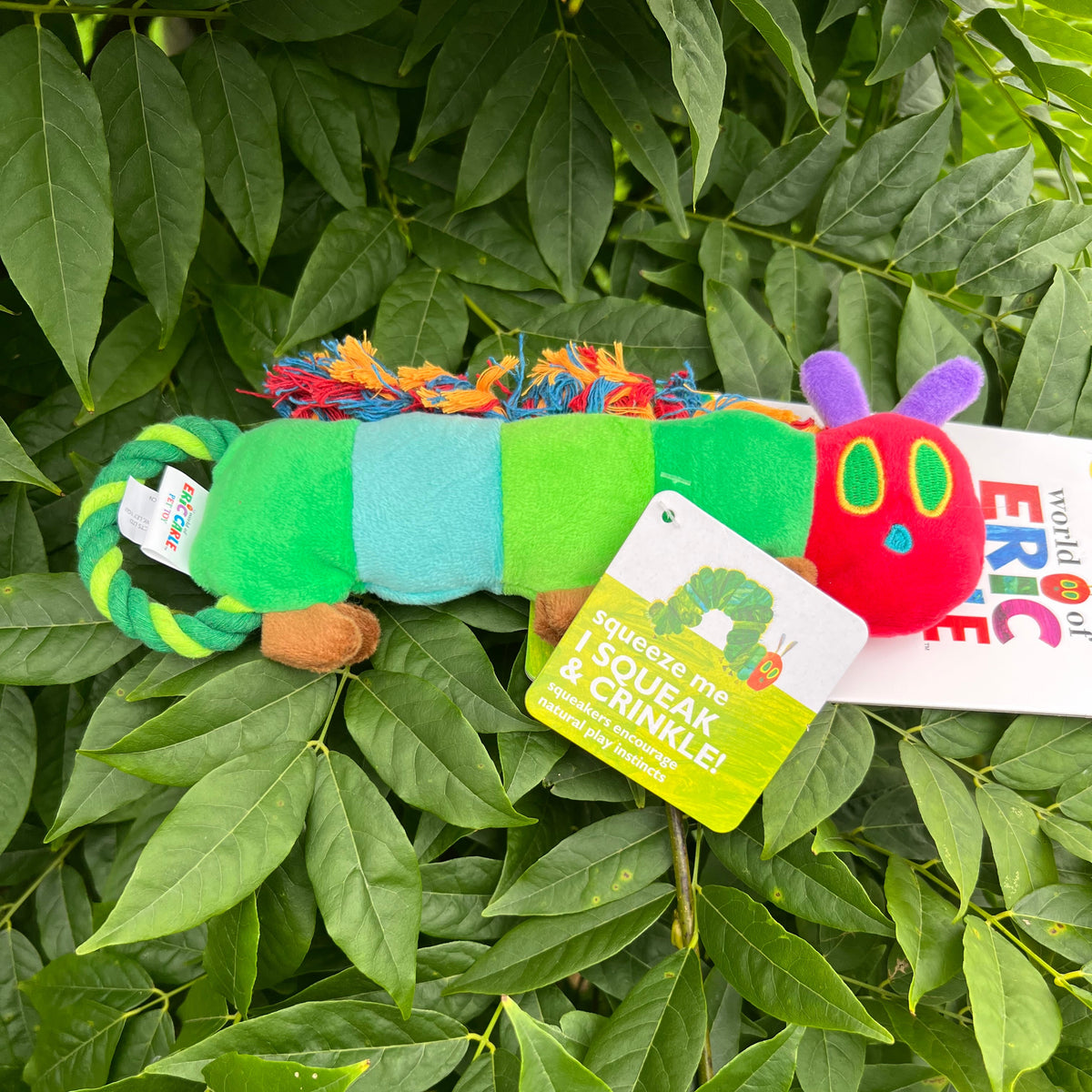 Hungry Caterpillar Rope Tug Small
