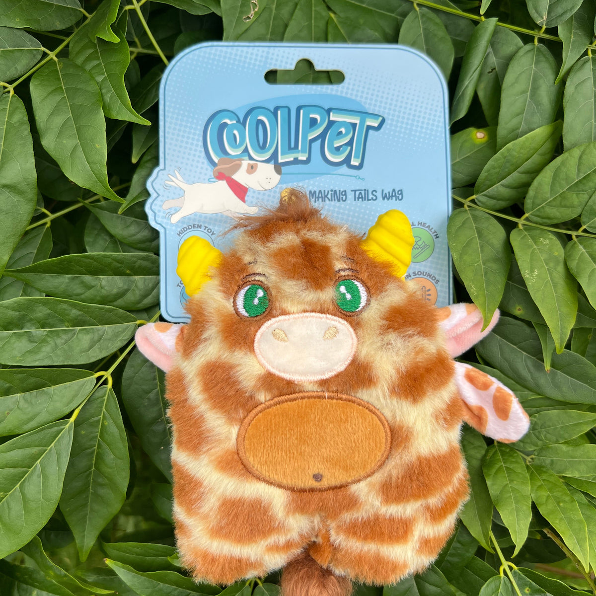 Gina Giraffe