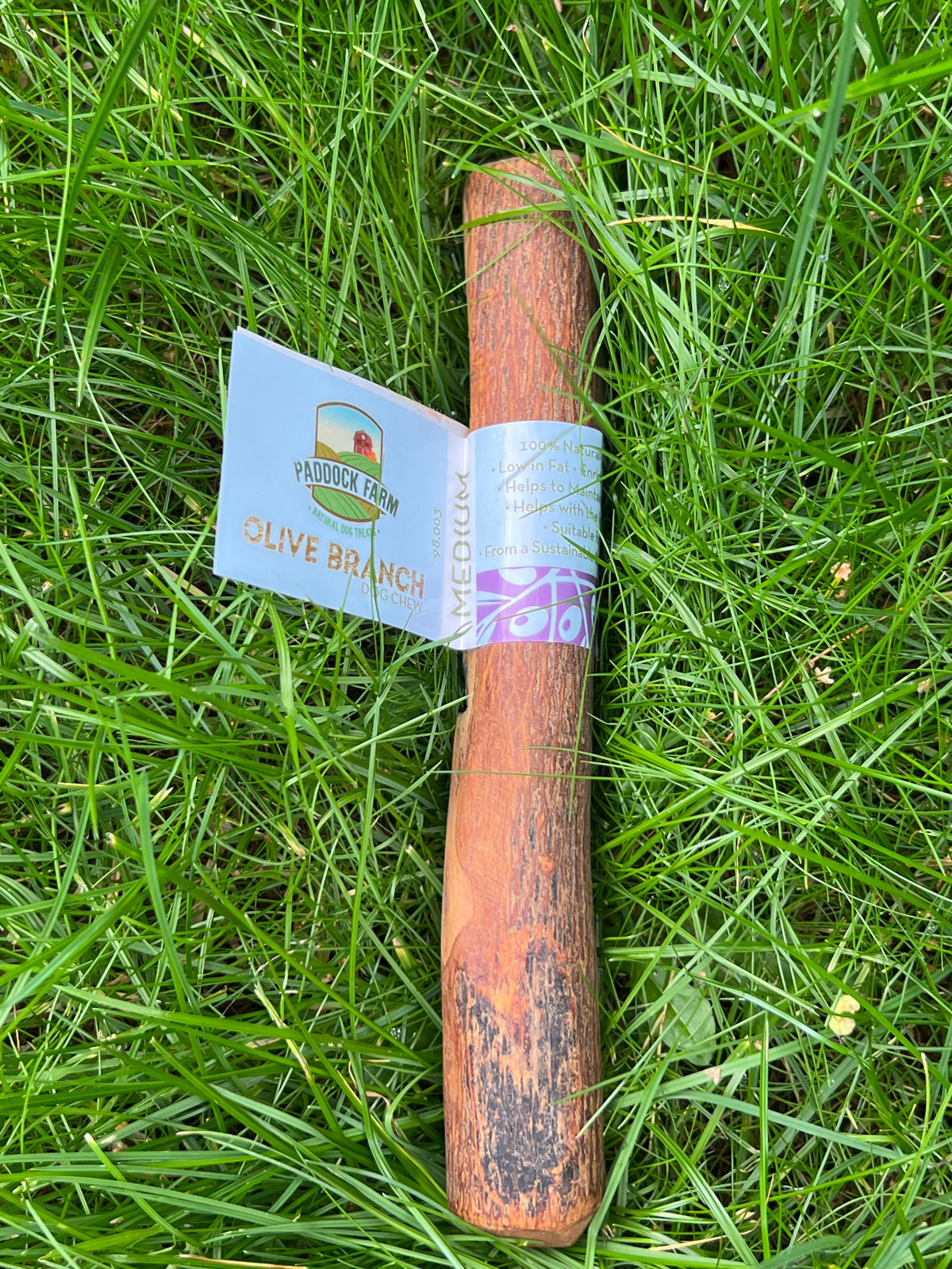 Olive Wood Branch Medium