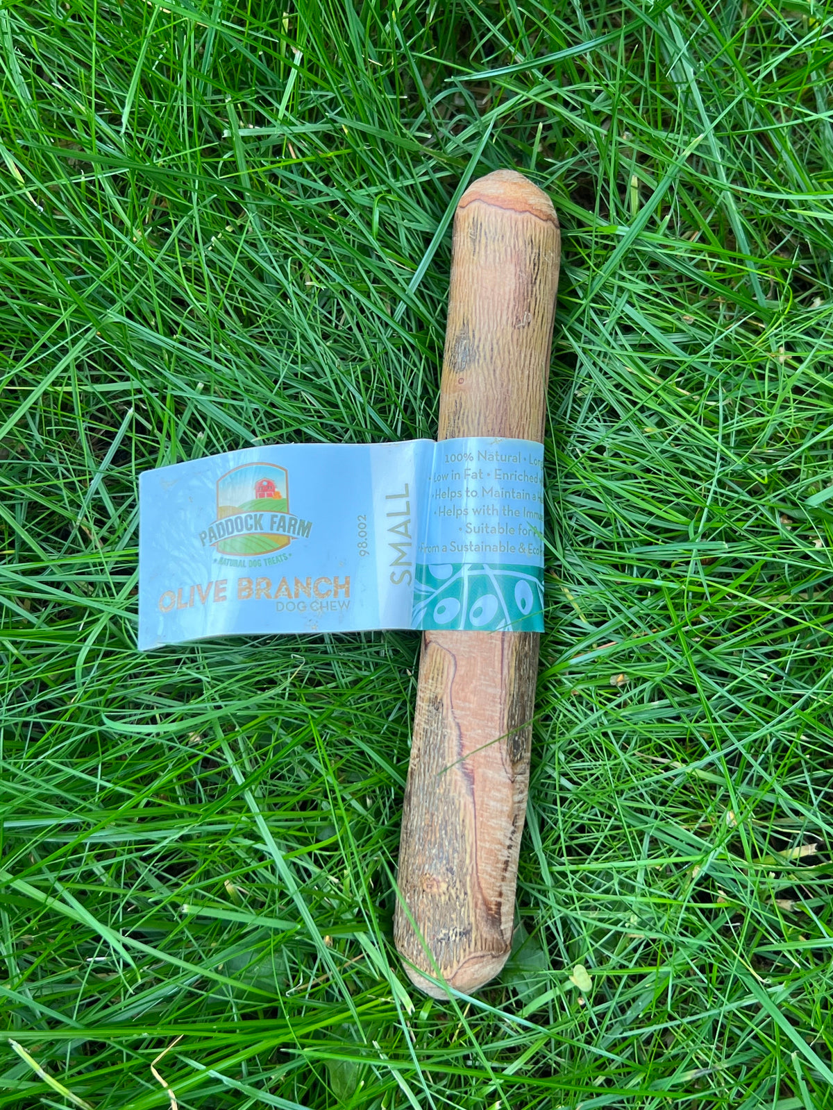 Olive Wood Branch Small