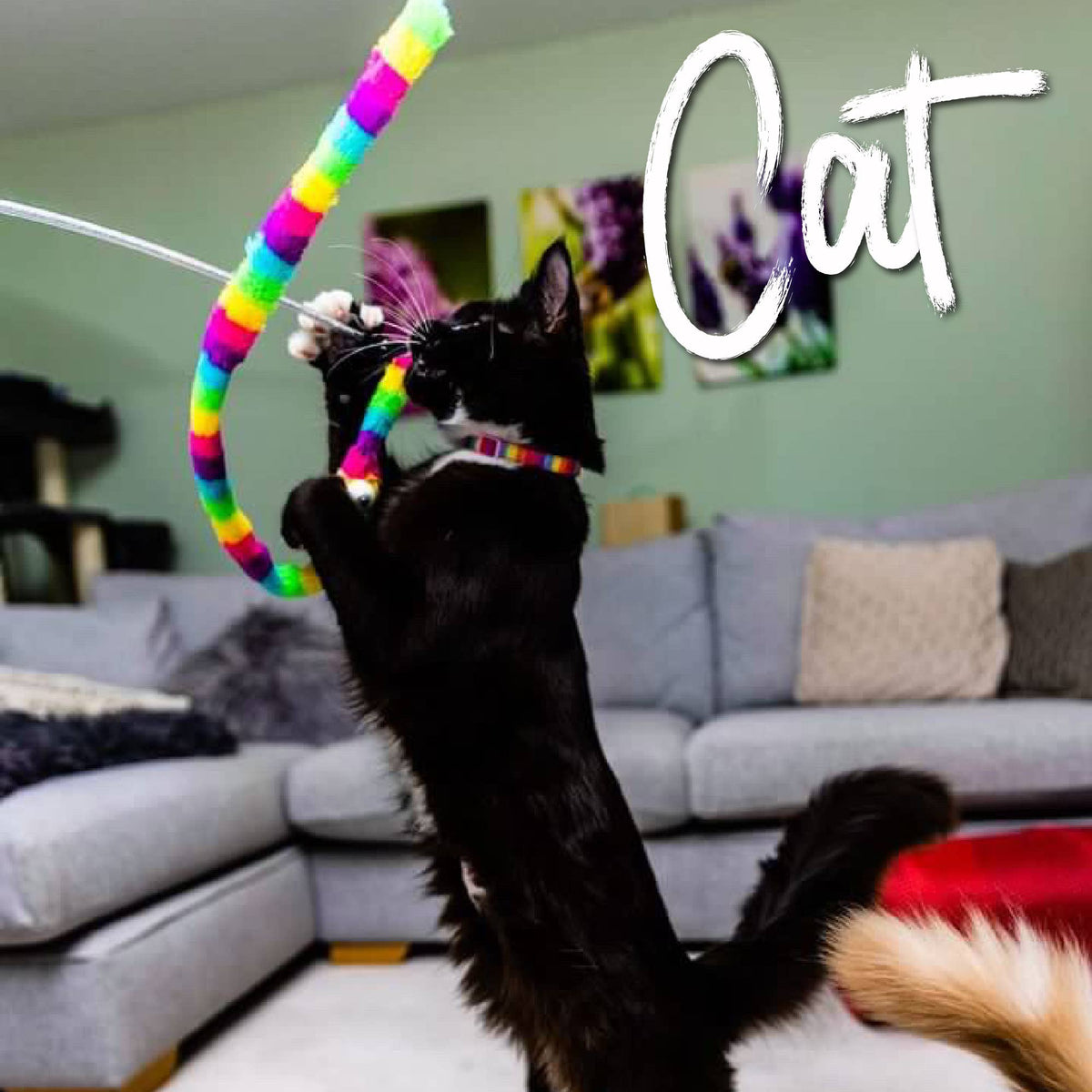 Ancol Wiggle Worm Rainbow Cat Dangler Toy